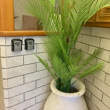 Marina アルゴストリオン