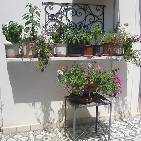 ゲストハウス Marina