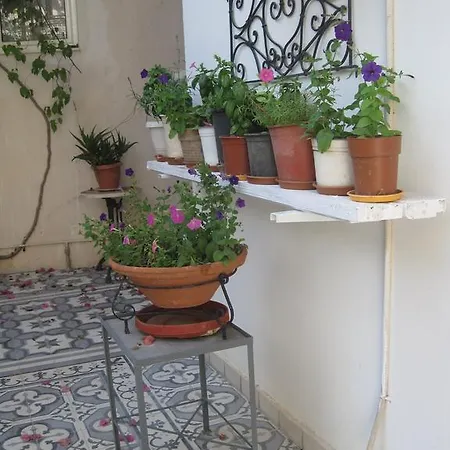 Marina アルゴストリオン