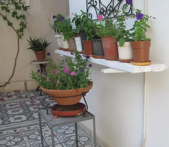 Marina Argostoli (Kefalonia)